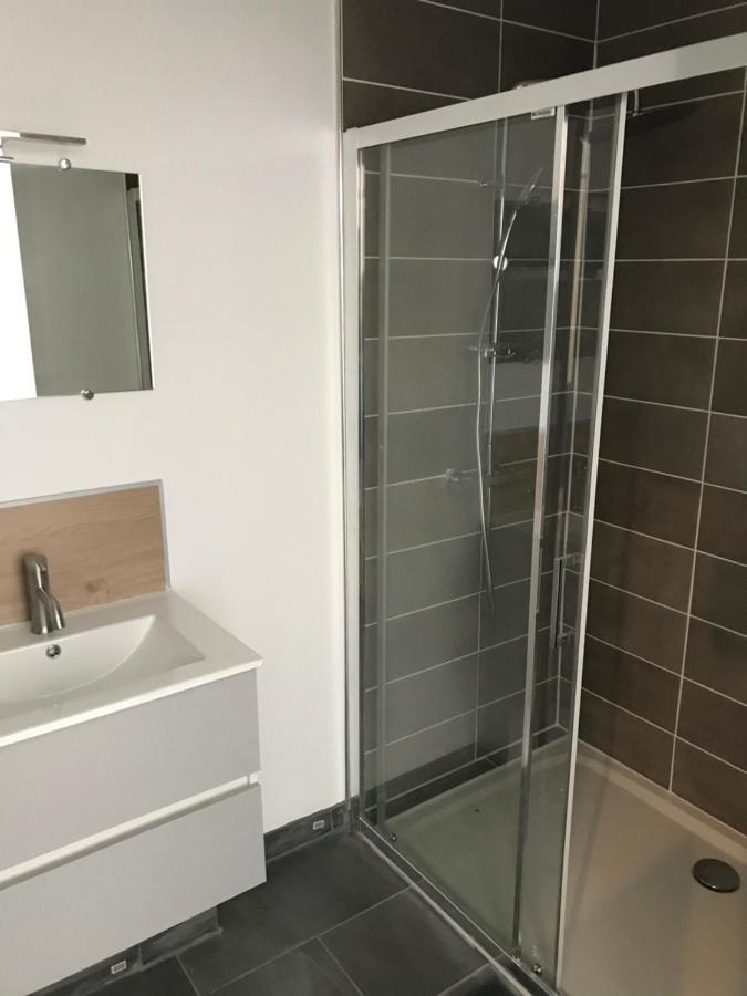 דירות T2 Design Hypercentre Castres Agout מראה חיצוני תמונה